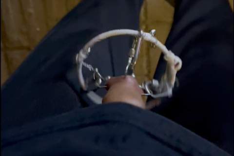 戴铃铛和扩张环露出