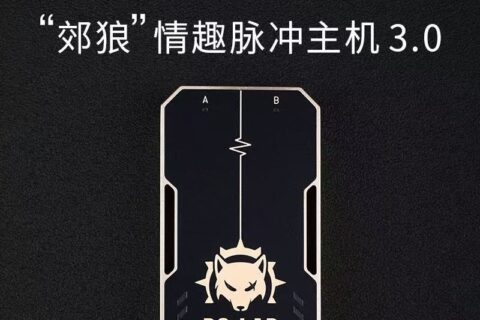 想玩郊狼找人远程控制我，有人玩吗？文章内有我的联系方式