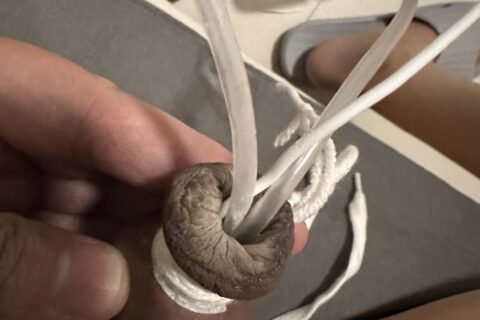 -5度就结冰了